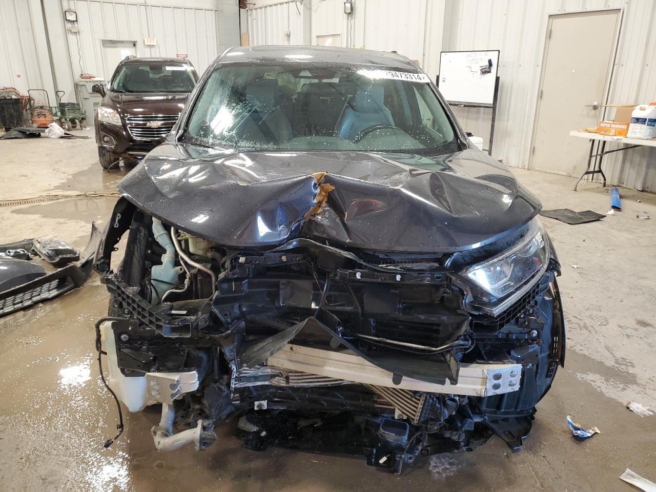 Lot #2970061589 2017 HONDA CR-V EXL