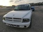 Lot #2957794133 2002 DODGE DAKOTA QUA