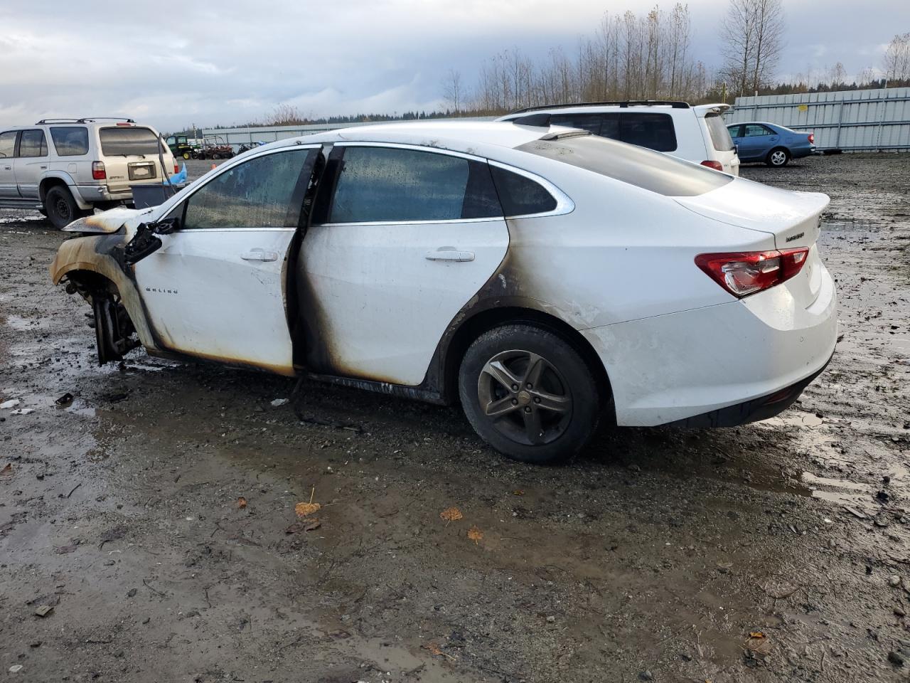 Lot #2991022215 2020 CHEVROLET MALIBU LS