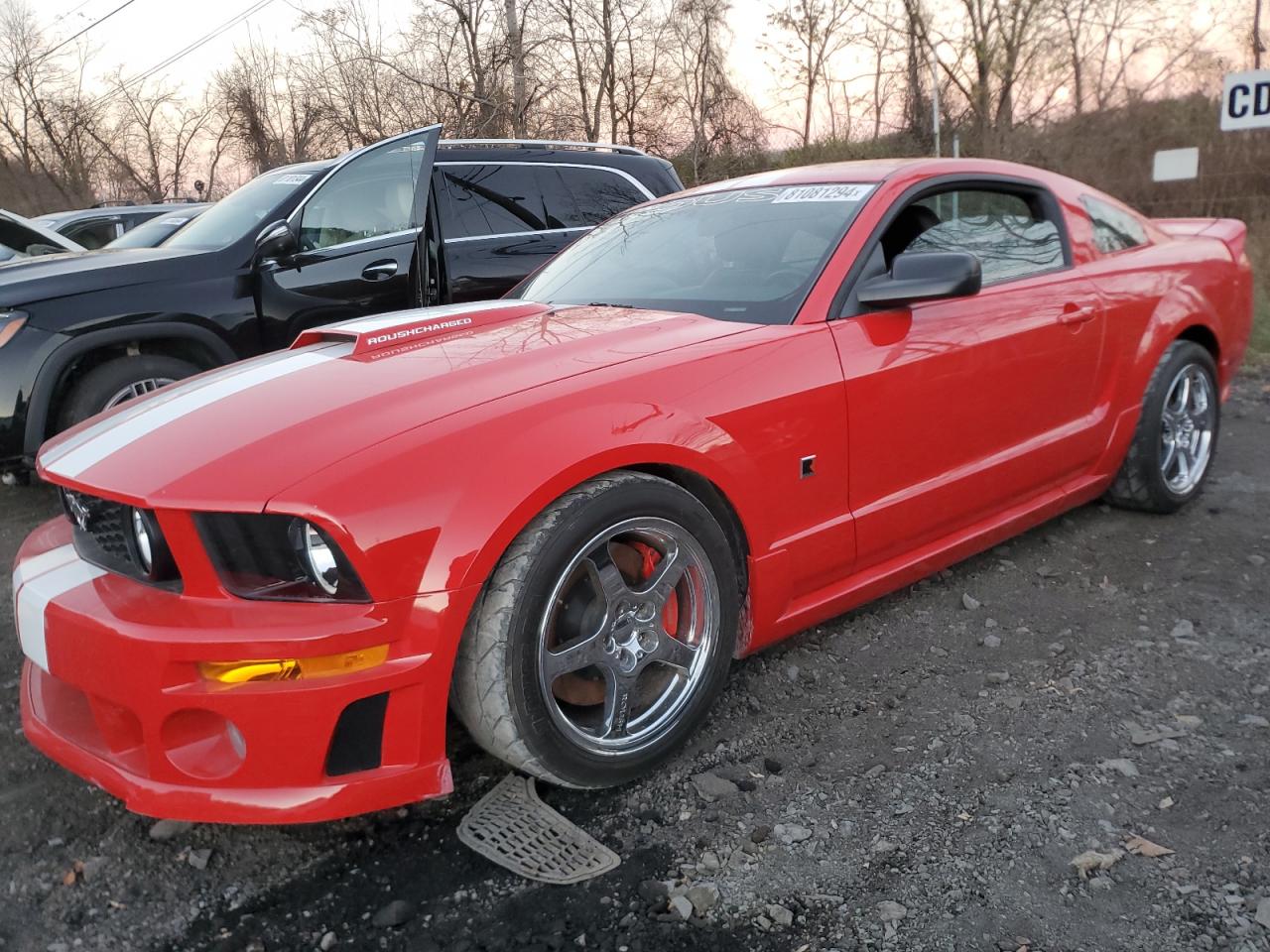 Lot #3008886615 2007 FORD MUSTANG GT