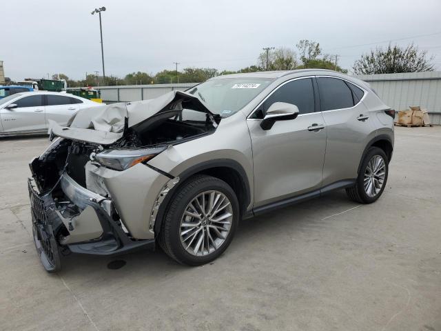 2025 LEXUS NX 350 PRE #2970024930