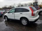 HONDA CR-V EX photo