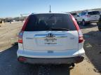 Lot #3024990161 2007 HONDA CR-V EXL