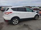 Lot #3023870812 2016 FORD ESCAPE SE