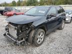 Lot #3024581613 2021 TOYOTA RAV4 XLE