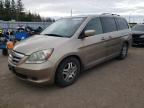 HONDA ODYSSEY EX снимка