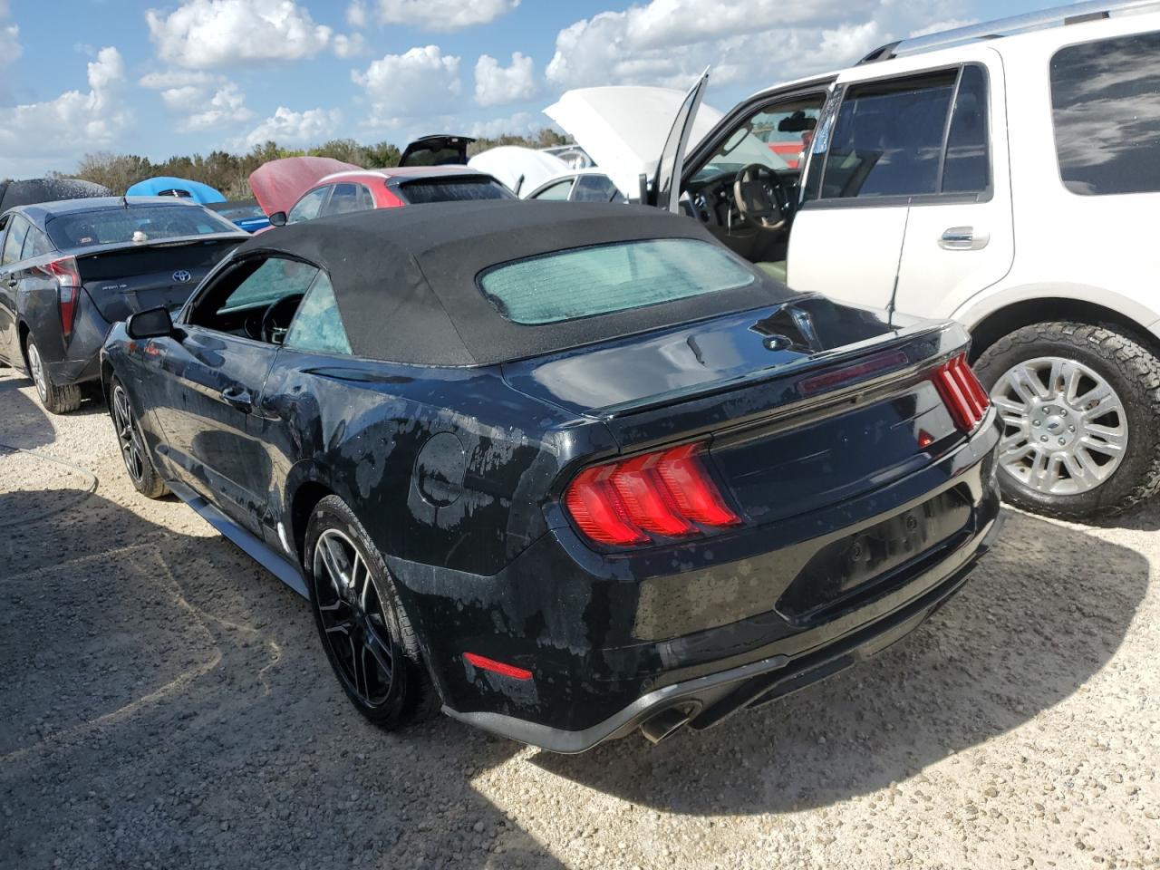 Lot #2990733977 2021 FORD MUSTANG