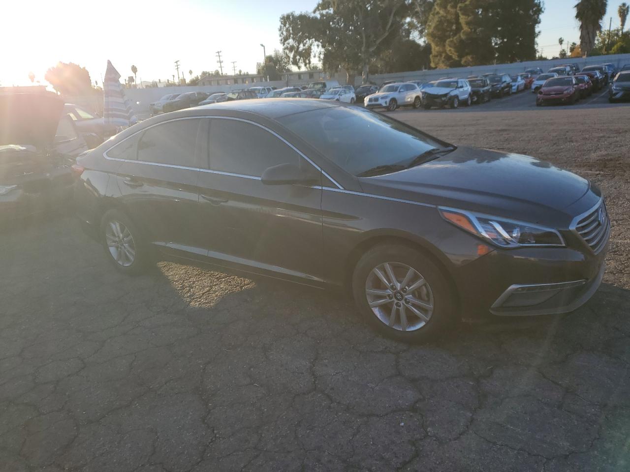 Lot #3020638920 2015 HYUNDAI SONATA SE