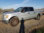 FORD F150 SUPER photo