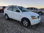 KIA SORENTO EX photo