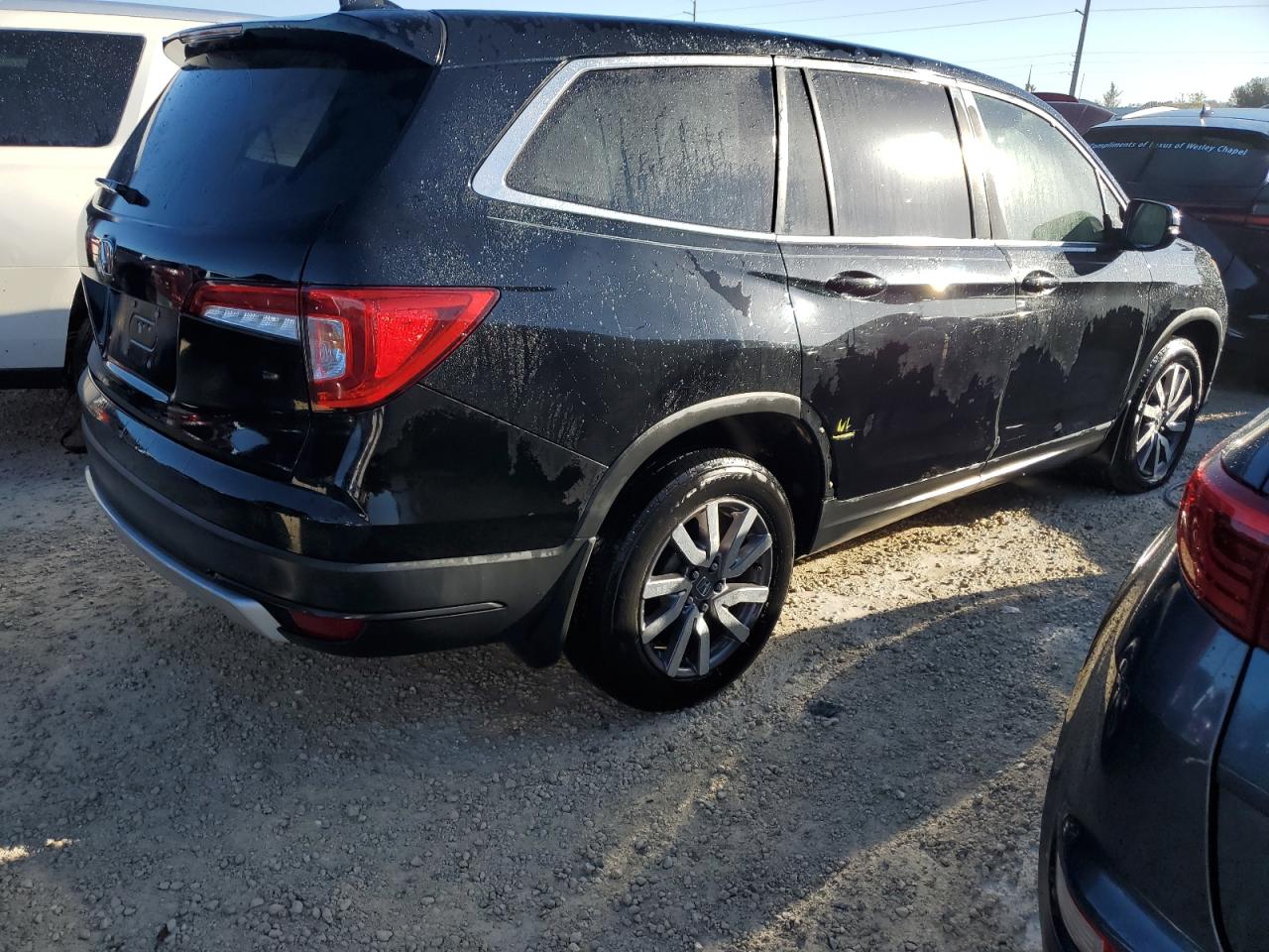 Lot #3030561837 2020 HONDA PILOT EXL