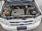 FORD ESCAPE HYB photo