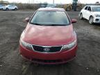 KIA FORTE EX photo