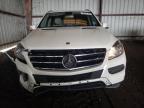 Lot #3030563832 2014 MERCEDES-BENZ ML 350