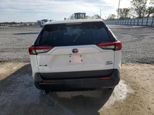 2023 TOYOTA RAV4 XLE - 4T3RWRFV0PU089684