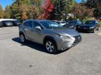 LEXUS NX 200T BA photo