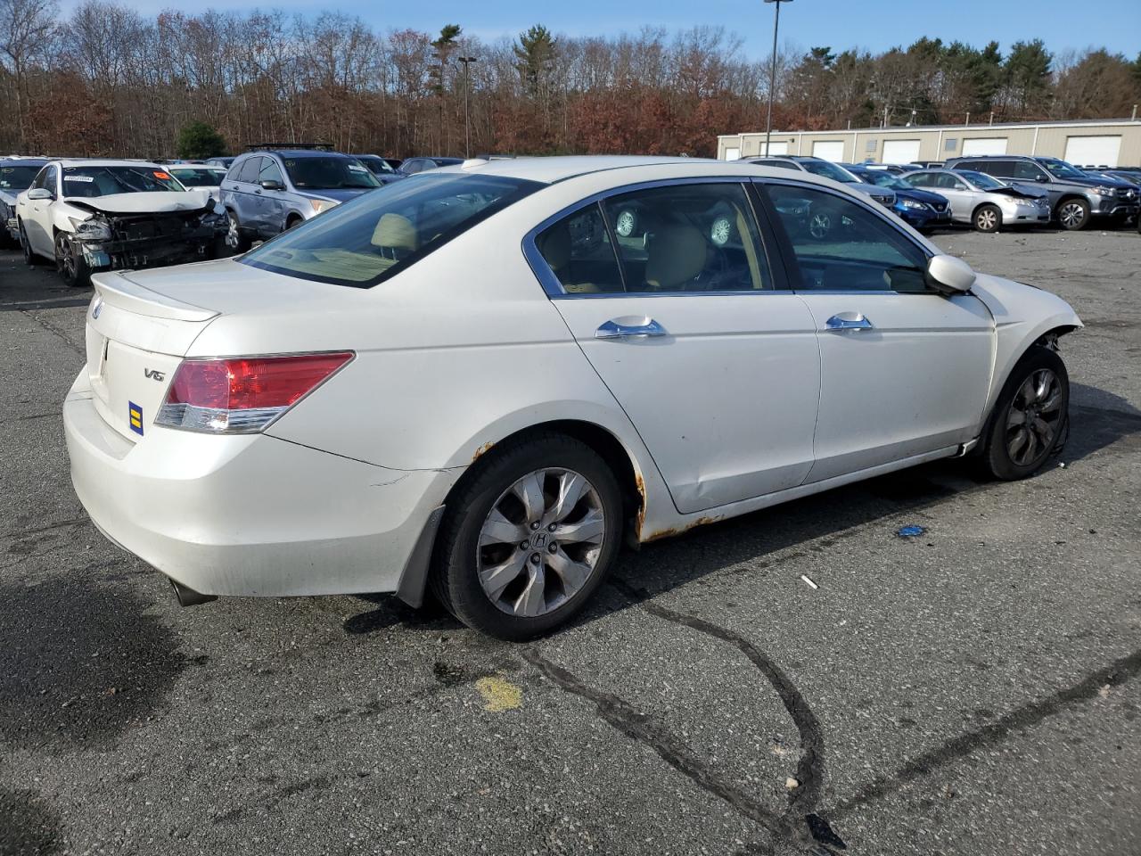 Lot #3026930990 2008 HONDA ACCORD EXL