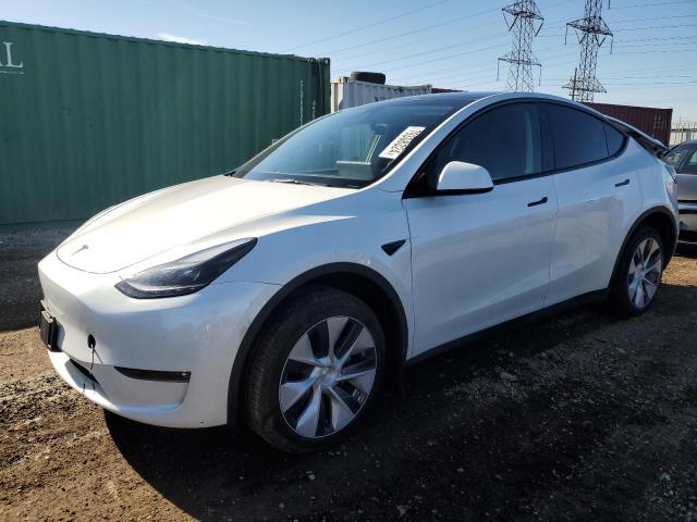 2023 TESLA MODEL Y #3023718891