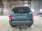 Lot #3024398542 2011 FORD ESCAPE XLT