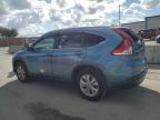 HONDA CR-V EXL photo