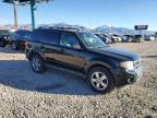 Lot #3037476707 2011 FORD ESCAPE LIM