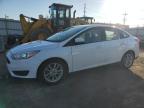 Lot #2986164149 2016 FORD FOCUS SE