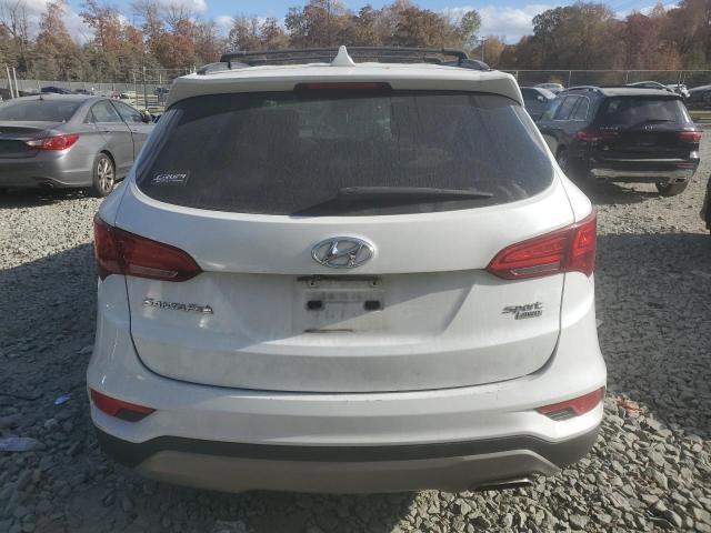 2017 HYUNDAI SANTA FE S - 5NMZUDLB8HH013963