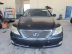 LEXUS LS 460 photo