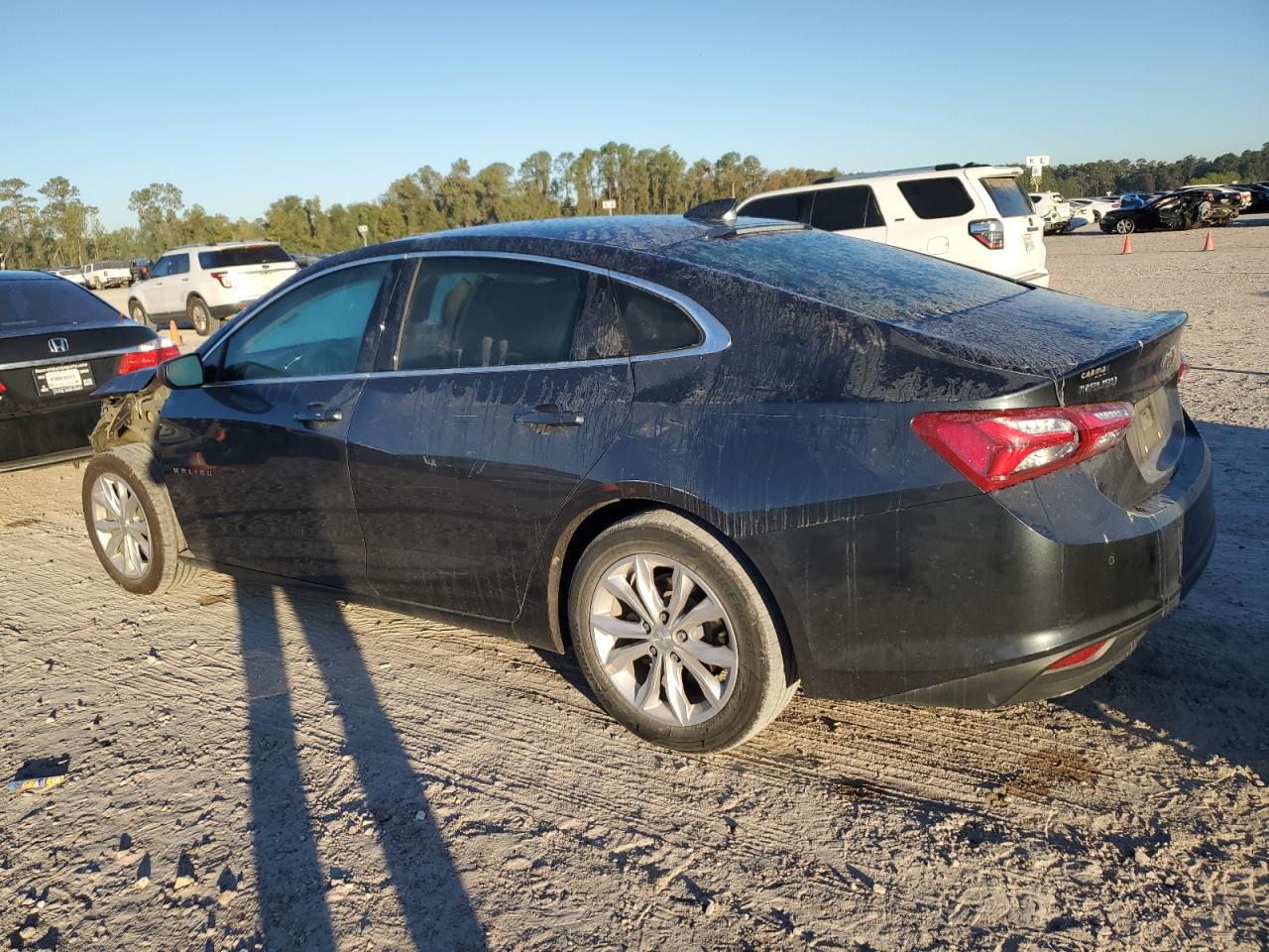 Lot #3024567607 2019 CHEVROLET MALIBU LT