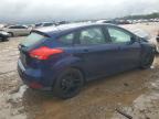 Lot #2996074381 2016 FORD FOCUS SE