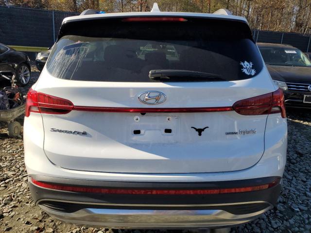 2023 HYUNDAI SANTA FE L - 5NMS5DA10PH008540