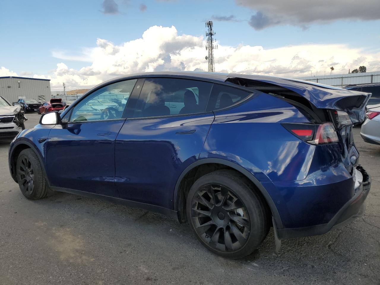 Lot #2990977232 2022 TESLA MODEL Y