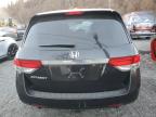 HONDA ODYSSEY EX photo