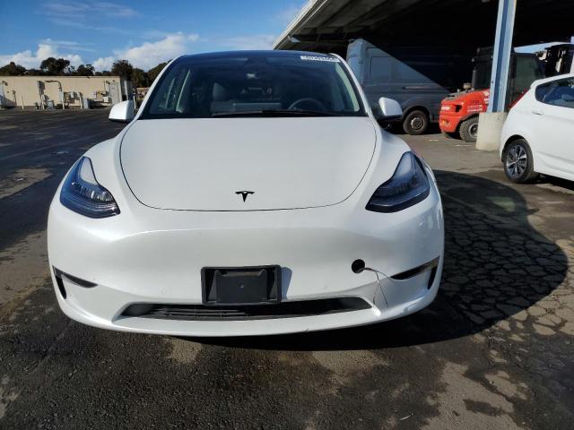 2022 TESLA MODEL Y - 7SAYGDEE6NF567500