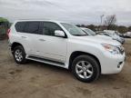 LEXUS GX 460 photo