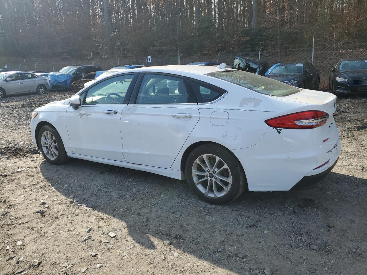 Lot #2988692439 2019 FORD FUSION SE