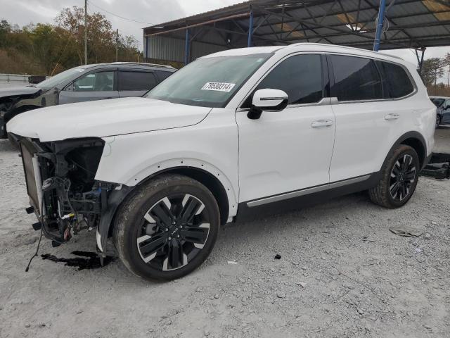 2024 KIA TELLURIDE #3024034236