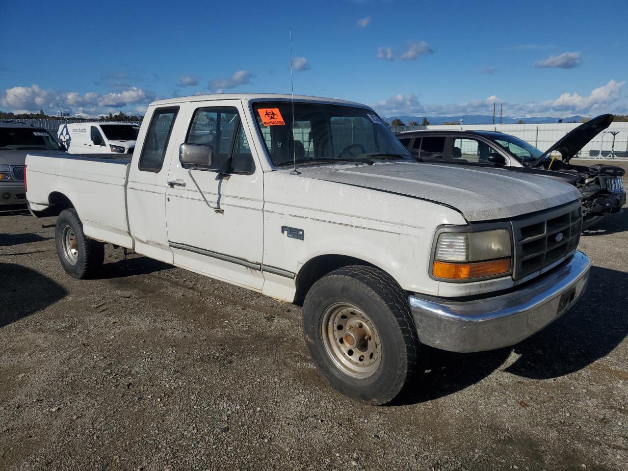 Lot #3029723697 1995 FORD F150