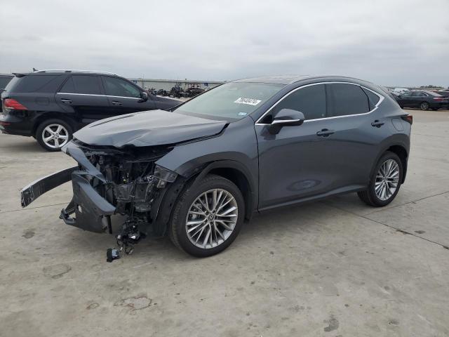 2025 LEXUS NX 350 PRE #3029903264