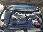 Lot #3023421254 2013 NISSAN MAXIMA S