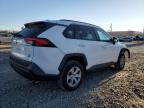 TOYOTA RAV4 LE photo