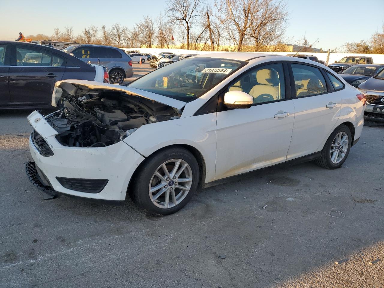 Lot #3027001780 2016 FORD FOCUS SE