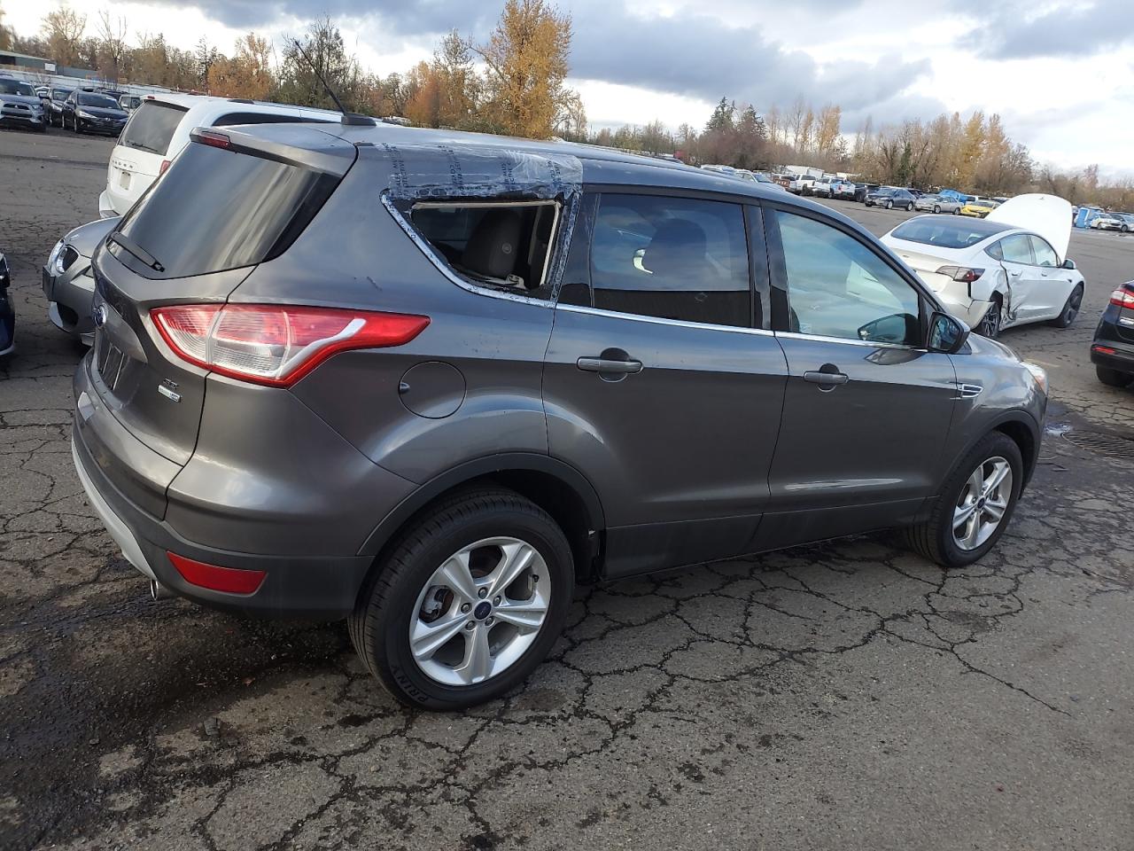 Lot #2987003755 2013 FORD ESCAPE SE