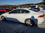 Lot #3027129778 2018 JAGUAR XE