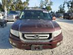 HONDA RIDGELINE photo