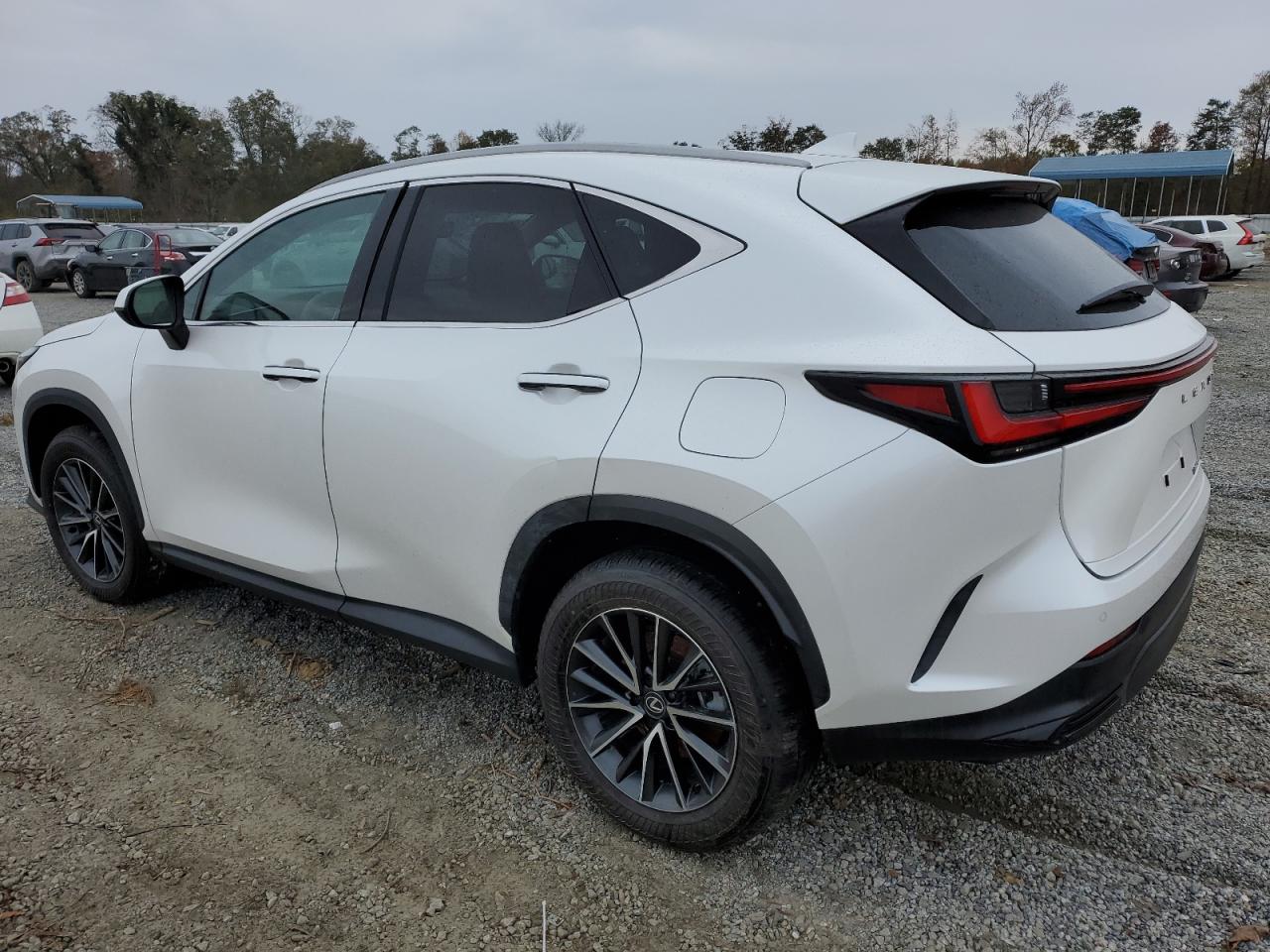 Lot #2952322016 2025 LEXUS NX 250 PRE