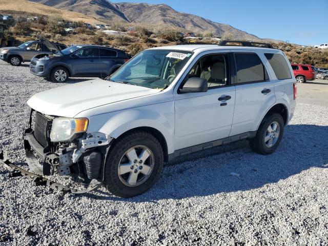 2011 FORD ESCAPE XLT 2011