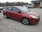 FORD FOCUS SE photo