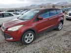 Lot #2962825182 2014 FORD ESCAPE SE