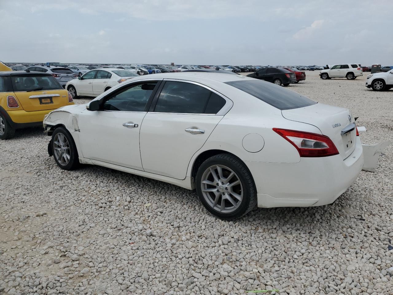 Lot #3031884245 2011 NISSAN MAXIMA S